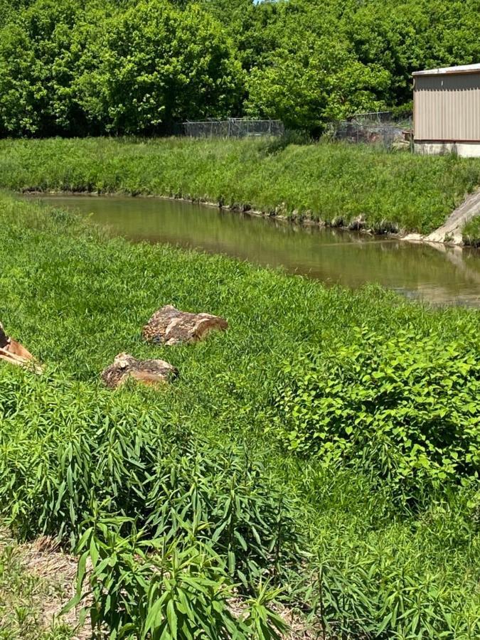 Andy Griffith Parkway Inn マウント・エアリー エクステリア 写真